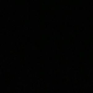 Meet your Posher, Rita